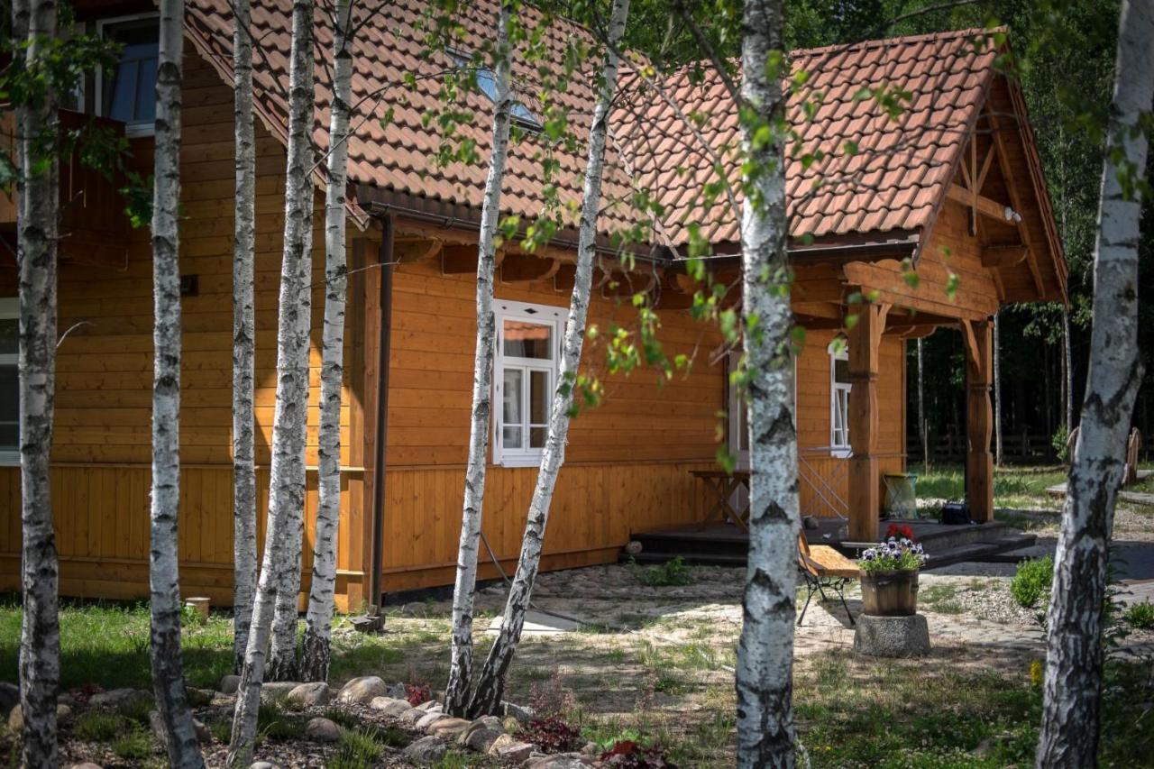 Miodowa Kolonia Bed and Breakfast Białowieża Buitenkant foto